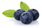 新鲜的蓝莓水果高清图片 - 素材中国16素材网