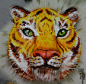 Tiger cake by RerinKin