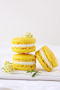 Macarons#吃货##赏味期限##美食#