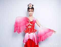 用户5633340379采集到金晨
