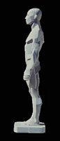 Planes of the Head - Artist's Mannequin Head by John Asaro