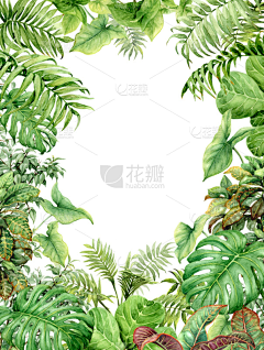 孤羽凌珀采集到素材