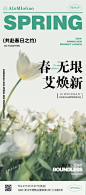 春上新发布海报-源文件