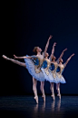 Het Nationale Ballet  Theme & Variations.   Photo Angela Sterling