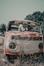 pexels-photo-2847324.jpeg (867×1300)