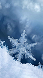 雪花