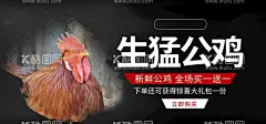 公鸡  - 源文件下载【酷图网】公鸡,大盘鸡,鸡国画,散养鸡,原生态,散养,草地,生态鸡,辣子鸡,生态鸡肉,土鸡海报,农家土鸡,养鸡场,养鸡场海报,山地鸡,走地鸡,跑山土鸡,散养土鸡,土鸡养殖,生态养殖,芦花鸡,家鸡,三黄鸡,家禽饲养,农家乐,农村土鸡,养殖业,养殖海报,养殖场,公鸡海报,农家公鸡,公鸡展板