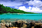 景致迷人的美娜多 印尼群岛的沧海遗珠(组图)