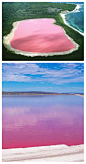 #dubudu商务男包#位于西澳大利亚州的赫特潟湖（Hutt Lagoon）常年呈现美丽的粉红色，就像一个羞涩的新娘，它的浪漫还尤其体现在当你站在湖边抬头望，粉色的湖面犹如黄昏夕阳，会有一种乾坤颠倒般的幻觉。 #景点# #DUBUDU商务男包#