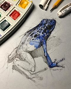 泽浩采集到手绘