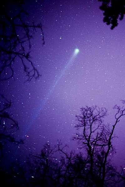 Comet Hyakutake~ 199...