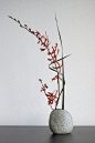 Ikebana 'Red orchid' - final attempt | Flickr - Photo Sharing!