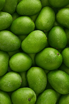 yoyo土豆采集到植物素材 水果素材 静物素材
