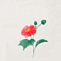 0166ec5acc15a7a8012040297433c4.jpg@1280w_1l_2o_100sh - 副本