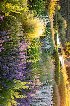 la绿植软景细节