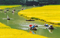 天天晴晴0采集到LANDSCAPE—乡村景观