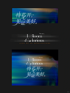 扬杨采集到字