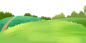 @冒险家的旅程か★
png透明背景素材 草地png 绿色植物树叶 海报合成植物素材