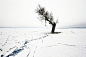 019-winter-photography