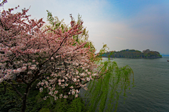 山青烟海采集到风景-名山大川