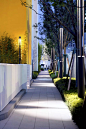 IF项目 | 西安立德思小学景观设计 : Xi’an LEADERS Primary School Landscape Design