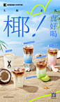 五款生椰产品