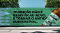 Cerveja Desbrava :: Behance