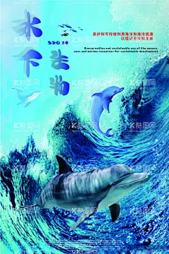 保护海洋  - 源文件下载【酷图网】海洋,鲸鱼,水下生物,保护海洋,大海,海洋背景,海洋海报