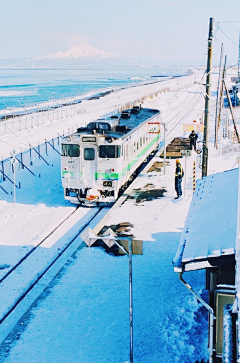 凉木采集到冬日恋雪