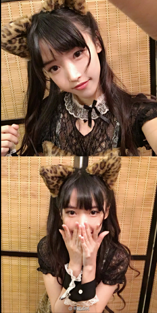 半藏森林胡文婕