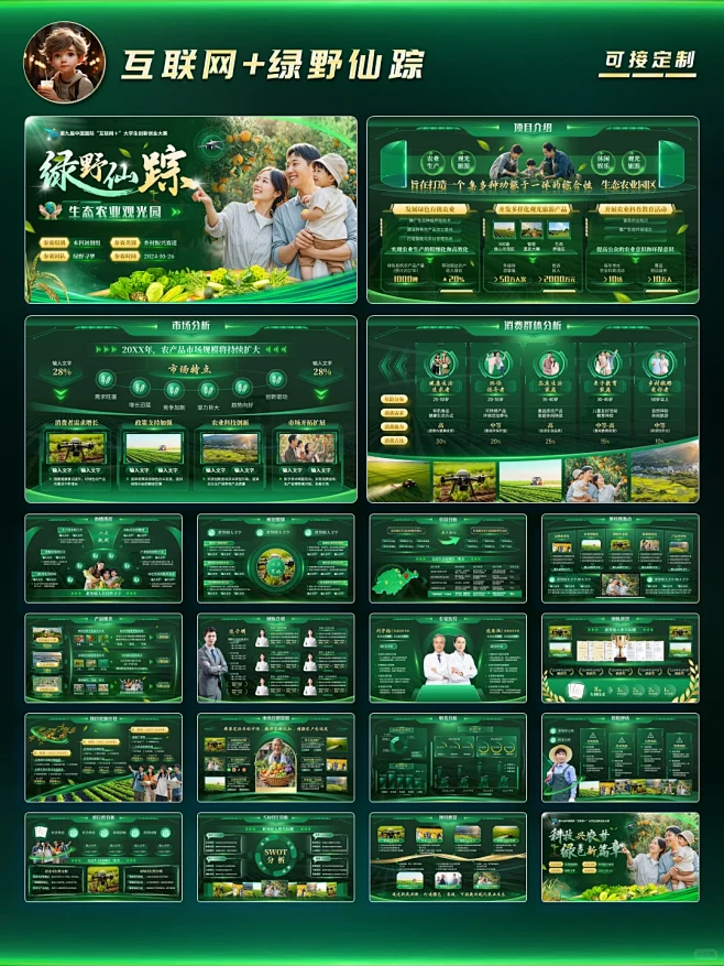 互联网+创赛｜国金评委都说绿野仙踪PPT...
