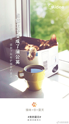 Beauty-Zoe采集到海报