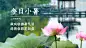 小暑节气祝福夏天莲花实景横版海报