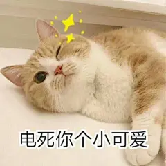 更新一组萌猫表情包~ ​​​​