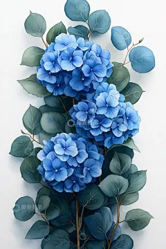 蓝色绣球花插画高清模板免费下载-趣麦麦图