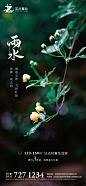 雨水节气刷屏海报-设计素材-shejisc.cn