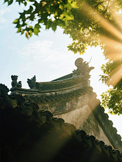 古琴心采集到良辰美景奈何天