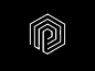 P hex 01