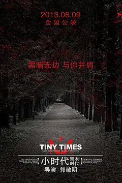 杨幂柯震东郭采洁神伤落泪 《小时代2》海报曝光