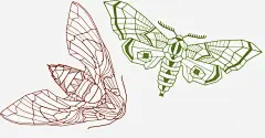 矢量简约卡通飞蛾eps免抠素材_新图网 https://ixintu.com 简约 飞蛾 昆虫 矢量飞蛾 卡通 手绘 飞蛾免扣PNG图 飞蛾PNG矢量图
