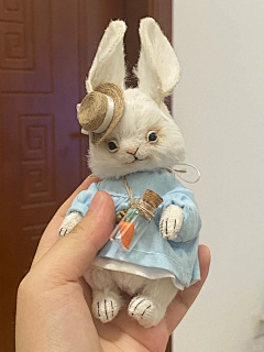 兎尼觉采集到Bjd