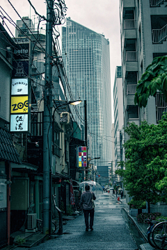 汪雨璐采集到模型参考