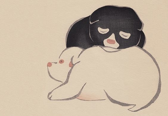 Detail. Pups. Ogata ...