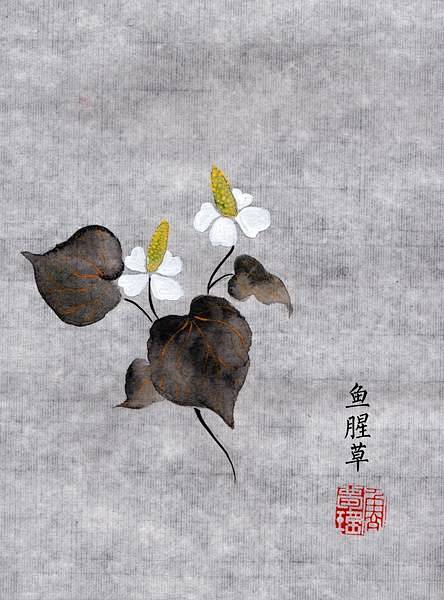 《草药闲谈》。