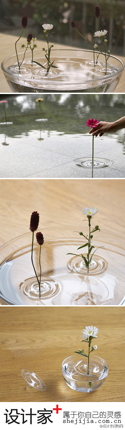 #设计家好设计#这些花朵能在水上漂浮？不...