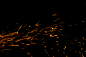 Embers & Sparks (157)