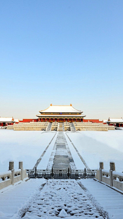 野生老王采集到素材