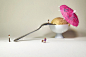 The Miniature Worlds of Matteo Meoni : Gorgeous miniature compositions created by Italian photographer and artist Matteo Meoni, aka Macchesematte.

More photography Visit his website