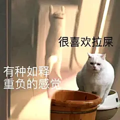 搞笑表情包 - 高清图片，堆糖，美图壁纸兴趣社区