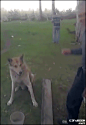 20170810184540_3704ef8f83c2b95aeeee06cc9c8cf005_16